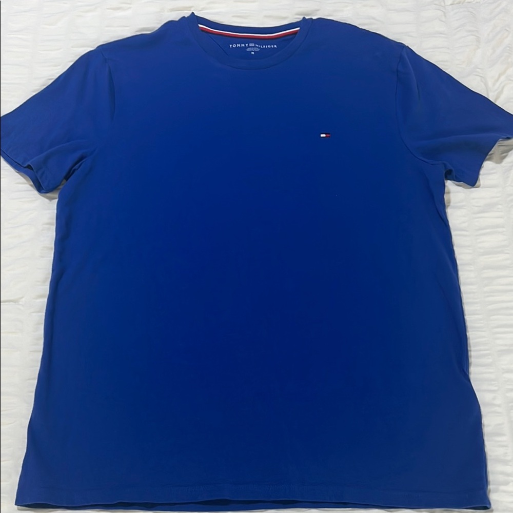 Tommy Hilfiger Men's Blue T-Shirt - Medium